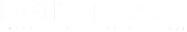 DigiDataLabs — Performans Pazarlama Ajansı